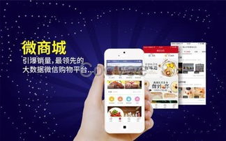 蠟筆小新軟件系統(tǒng)開發(fā)訂制