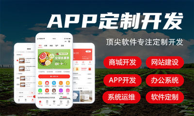 軟件開發:
