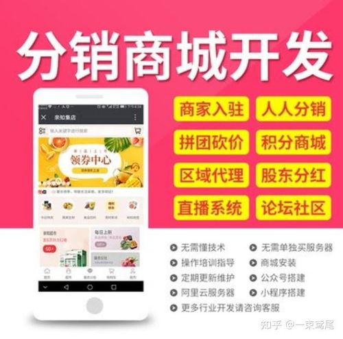 2021年實(shí)體項(xiàng)目搭建線上平臺(tái) 各類app專業(yè)開發(fā)找我